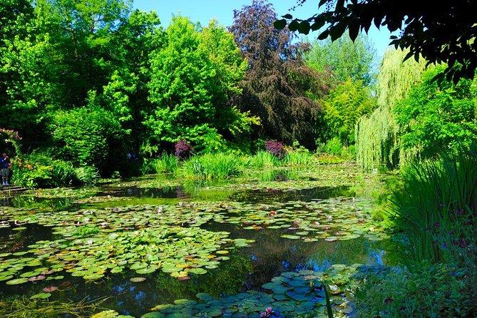 Versailles & Giverny Private Day Tour Luxury van & Private Guide - Who will get the most from this tour