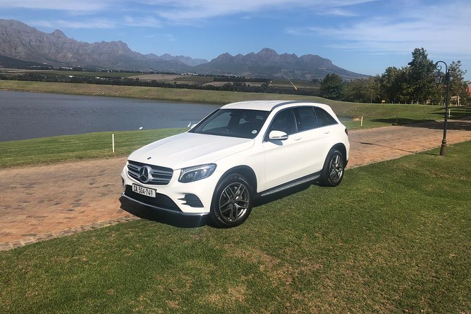 VIP Cape Town Private Guided Tour in Premium Luxury Vehicle - Safari, whale watching, and longer Western Cape plans