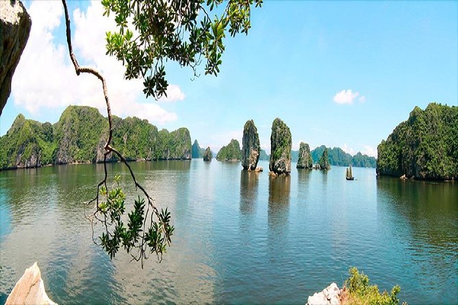 VIP Ha Long Bay 6 hour FUJI cruise with latest luxury cruise ship + limousine + highway + dinner for Japanese only - Sunset tea on the second-floor deck