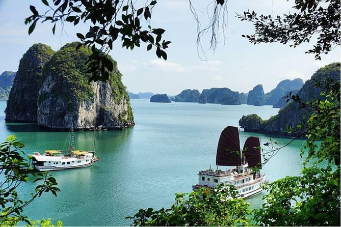VIP Ha Long Bay 6 hour FUJI cruise with latest luxury cruise ship + limousine + highway + dinner for Japanese only - Pho dinner during the return journey