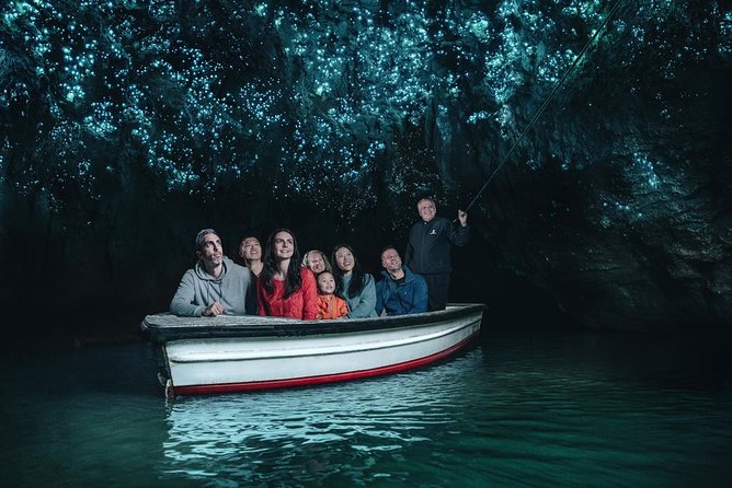 Waitomo Caves Private Driver for Tour - Pickup, timing, and practical details
