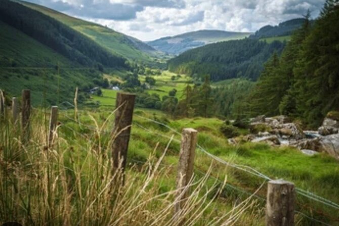 Wicklow and Glendalough Private Chauffeured Sightseeing Tour - Powerscourt Waterfall and its old woodland