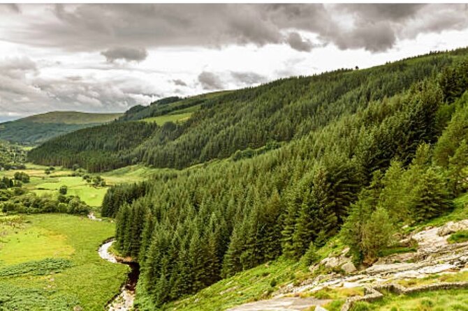 Wicklow and Glendalough Private Chauffeured Sightseeing Tour - How the guides shape the experience