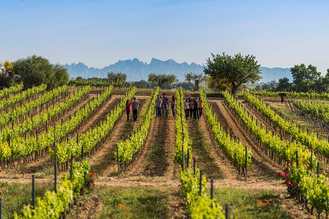 Winery Tour with Private Luxury Vehicle from Barcelona with Hotel pick up - Key points to know before you book