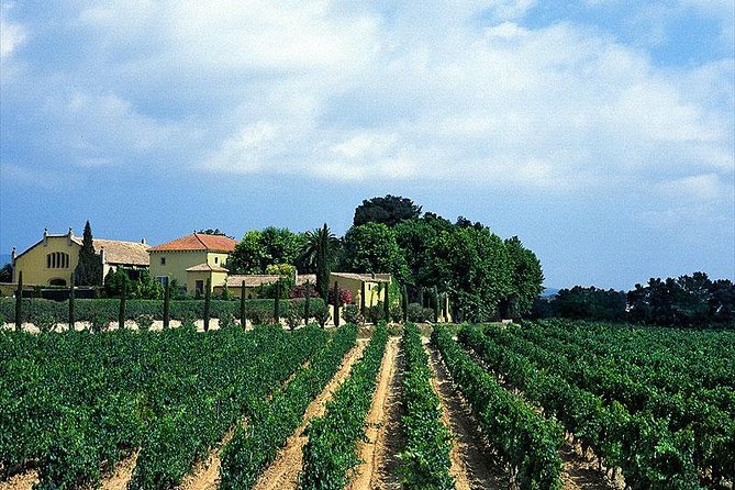 Winery Tour with Private Luxury Vehicle from Barcelona with Hotel pick up - Leaving Barcelona for Penedes at 8:45am