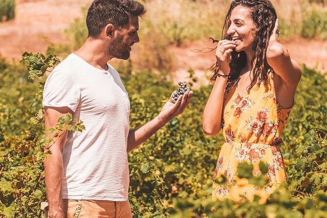 Your Private Driver & Chauffeur Service in Crete from Heraklion - Stops that can make the day worthwhile