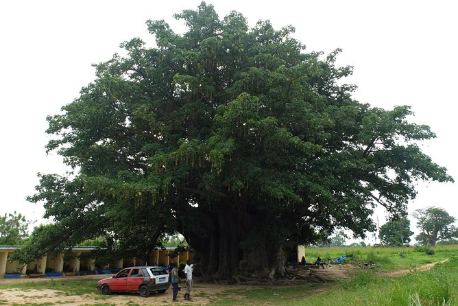 Your private driver & tour guide in Senegal-the shell island - Joal, the mainland half of the visit